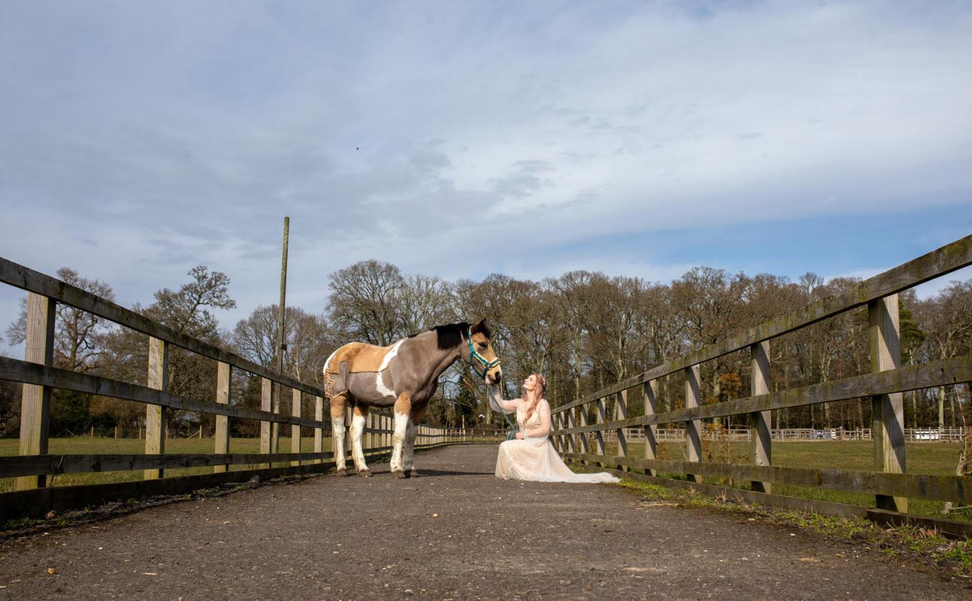 Langford Farmhouse - New Forest National Park Luxury 4Bd, Hot Tub, Cinema, 10 Acres Bartley Bagian luar foto